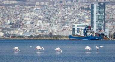 İzmir’in iklim eylemi çalışmaları Avrupa gündeminde