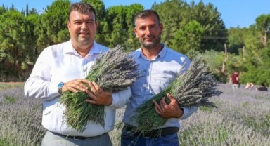 Mis Gibi Şenlik: Seferihisar’da Lavanta Büyüsü Başlıyor