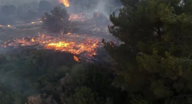 İzmir Valisi Açıkladı! Alev Hattında Son Durum Ne? Sabotaj Var mı?