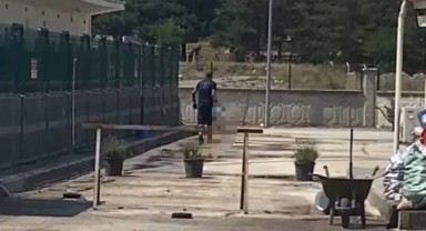 Kastamonu'da Belediye Barınağında Katliam! Tepki Gösteren Hayvanseverlere Saldırdılar