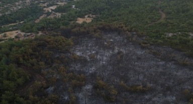 Urla’da yangın kontrol altına alındı