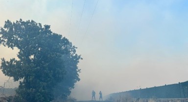 İzmir İtfaiyesi Dikili’deki yangına müdahale ediyor