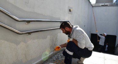 Çiğli’de sonbahar bakımı: Ağaçlar budanıyor, kent güzelleşiyor