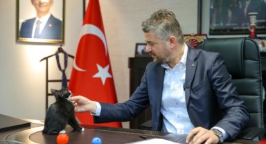 Hayvanları Koruma Günü’nde Başkan Duman’dan çağrı