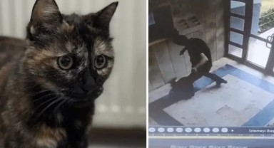 Mahkeme Kararını Verdi: 'Cezve'nin Katiline En Üst Sınırdan Ceza