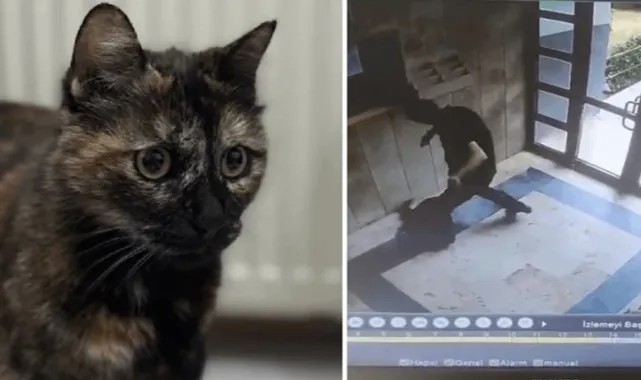 Mahkeme Kararını Verdi: 'Cezve'nin Katiline En Üst Sınırdan Ceza