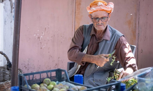 Beydağ incirinin katma değeri artıyor  