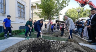 İzmir'de ağaç krizi: Cemil Tugay dikti Valilik söktü