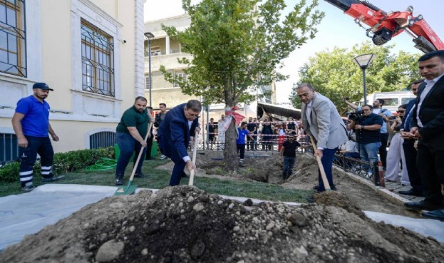 İzmir'de ağaç krizi: Cemil Tugay dikti Valilik söktü