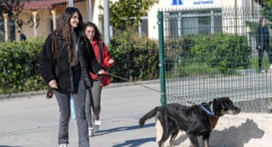 İzmirli hayvansever Çörekçi’nin emanetlerine İzmir Büyükşehir Belediyesi sahip çıktı