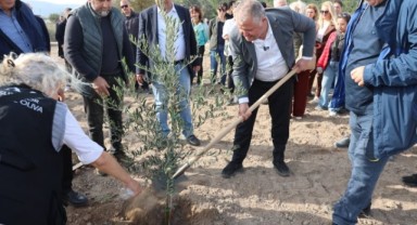 Urla'da üç gün boyunca Zeytin ve Sanat konuşuldu