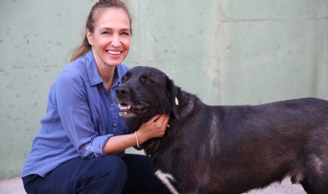 1 yılda 40 bin can dosta şefkat eli uzandı