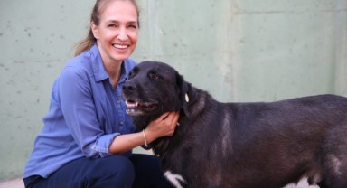 1 yılda 40 bin can dosta şefkat eli uzandı