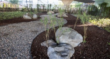 80 futbol sahası büyüklüğündeki alanda dönüşüm tamam