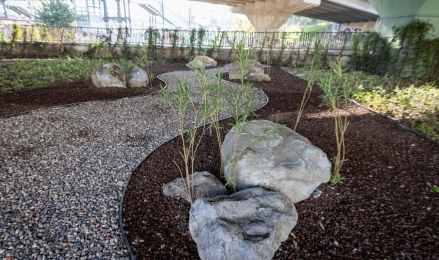 80 futbol sahası büyüklüğündeki alanda dönüşüm tamam