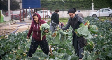 Başkan Eşki: “Emek ektik, tebessüm hasat ediyoruz”