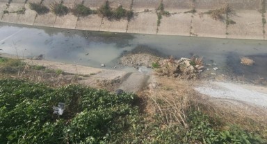 Büyükşehir, Temiz Çevre için Görev Başında