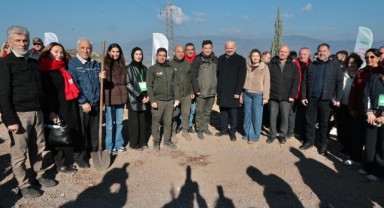 Menemen Belediyesi binlerce fidan dikti