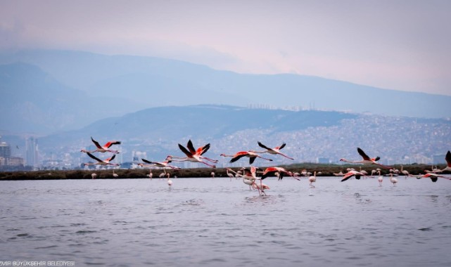 Doğa, kültür ve lezzet tutkunları yarıyıl tatilinde bu turlarda buluşacak