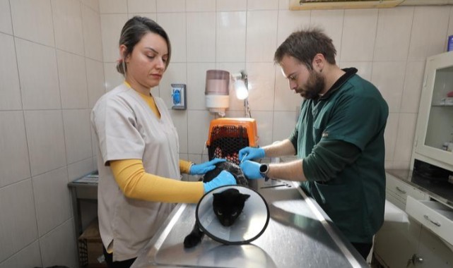 Gaziemir Belediyesi 6 bin 222 can dostun yaşamına dokundu