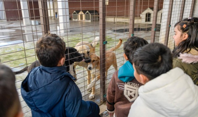 Tek Sağlık yaklaşımıyla İzmir’de hayvan refahı artıyor