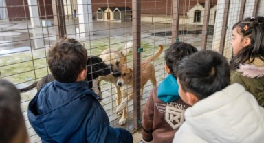 Tek Sağlık yaklaşımıyla İzmir’de hayvan refahı artıyor