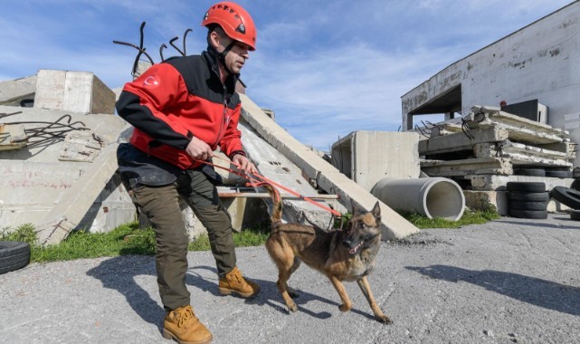 Afetlerde mahsur kalan hayvanlar unutulmayacak