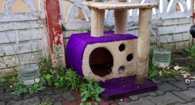 Buca’da can dostlara yönelik şüpheli ölümlere anında müdahale