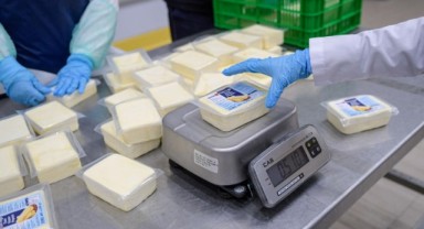 Büyükşehir’den peynir hamlesi