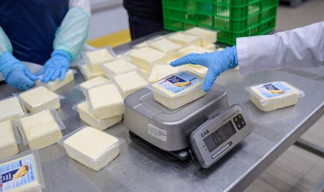 Büyükşehir’den peynir hamlesi