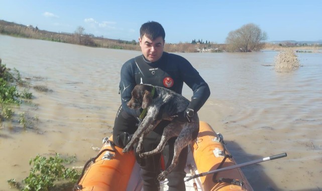 Canlar için Büyükşehir ekiplerinin özverili çabası