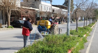 Menderes’te Ot İlaçlamaları Başladı