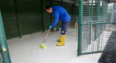 Buca’nın can dostlarına “beş yıldızlı” bakım