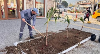 Foça Belediyesi’nden Kent Estetiğine Güçlü Dokunuş