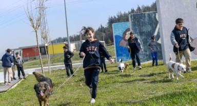 İzmir’de 2 bin 300 patili yuva bekliyor