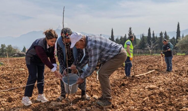 Kesilen cevizlerin yerine umut filizlendi