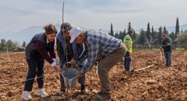 Kesilen cevizlerin yerine umut filizlendi