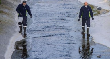 “Mevsimsel sinekler zararsız”