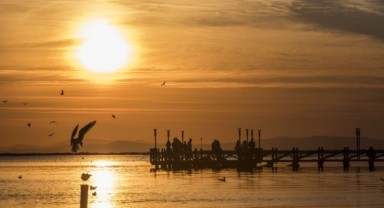 Sağlıklı Körfez için bir adım daha