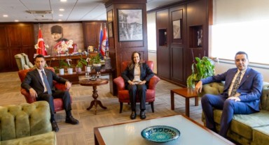 Sahipsiz hayvanlar için ‘Doğal Yaşam Alanı’ kuruluyor