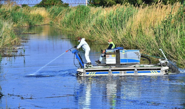Sivrisinek ve zararlılara karşı İzmir modeli 