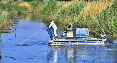 Sivrisinek ve zararlılara karşı İzmir modeli 