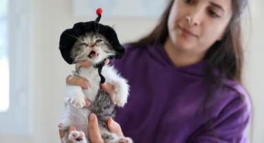 Buca Belediyesi ‘Zero’ için seferber oldu