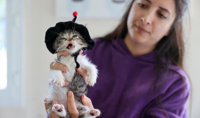 Buca Belediyesi ‘Zero’ için seferber oldu