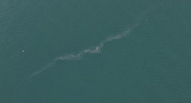 İzmir Körfezi’nde 13. dış kaynaklı kirlilik vakası