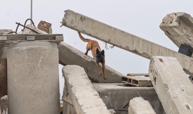 Momo enkaz için eğitiliyor