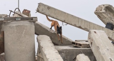 Momo enkaz için eğitiliyor