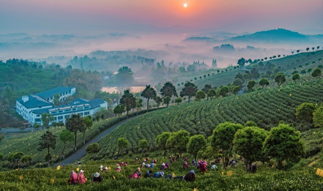 Uluslararası Fotoğraf Yarışması’nda kazananlar belli oldu