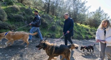 Büyükşehir’den Dikili’ye tam teşekküllü sokak hayvanları kampüsü