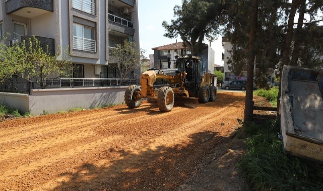 Başka Çiçek talimat verdi o mahalle dönüştü